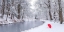 Picture of UMBRELLA BY A SNOWY CANAL