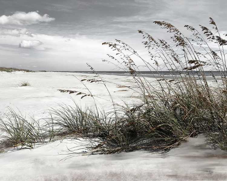 Picture of NEUTRAL SEA OATS