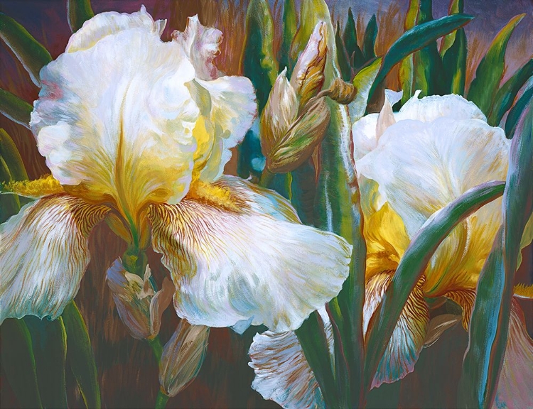 Picture of CORRINES IRIS II