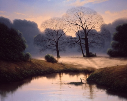 Picture of NATURES EARLY MORNING MIST