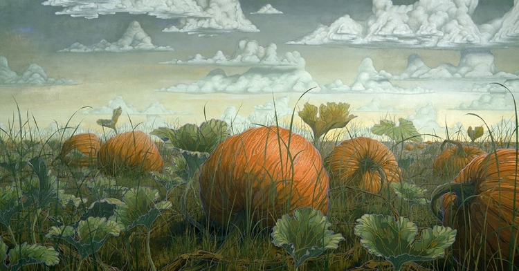 Picture of PUMPKIN PATCH