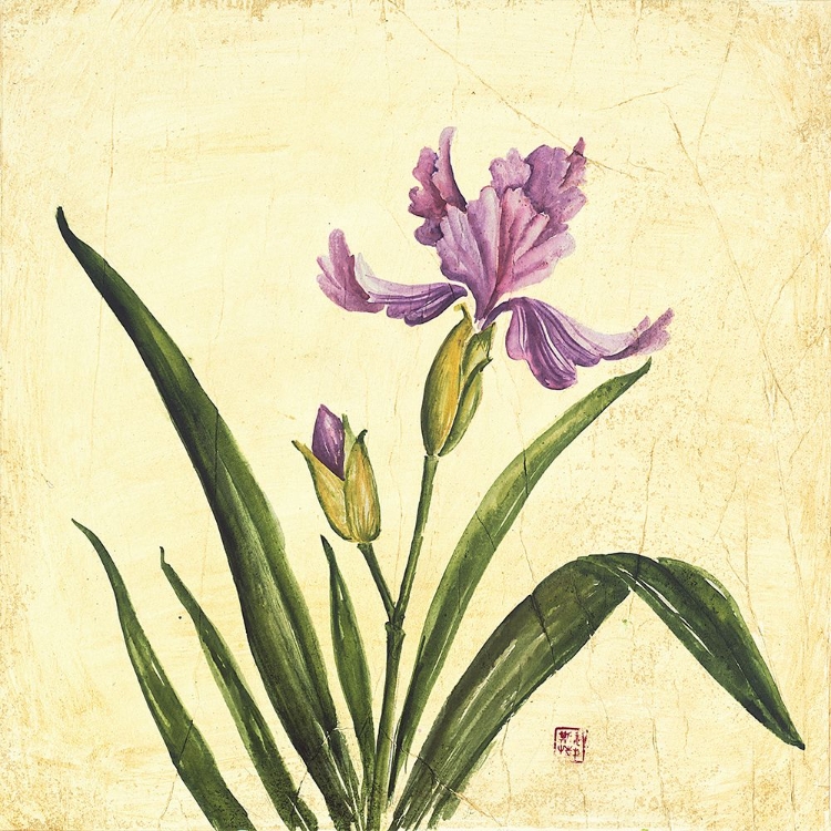 Picture of PURPLE BOTANICAL II