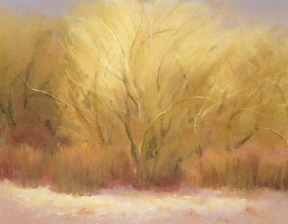 Picture of WINTER COTTONWOODS