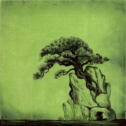 Picture of CLIMBER PINE - GREEN