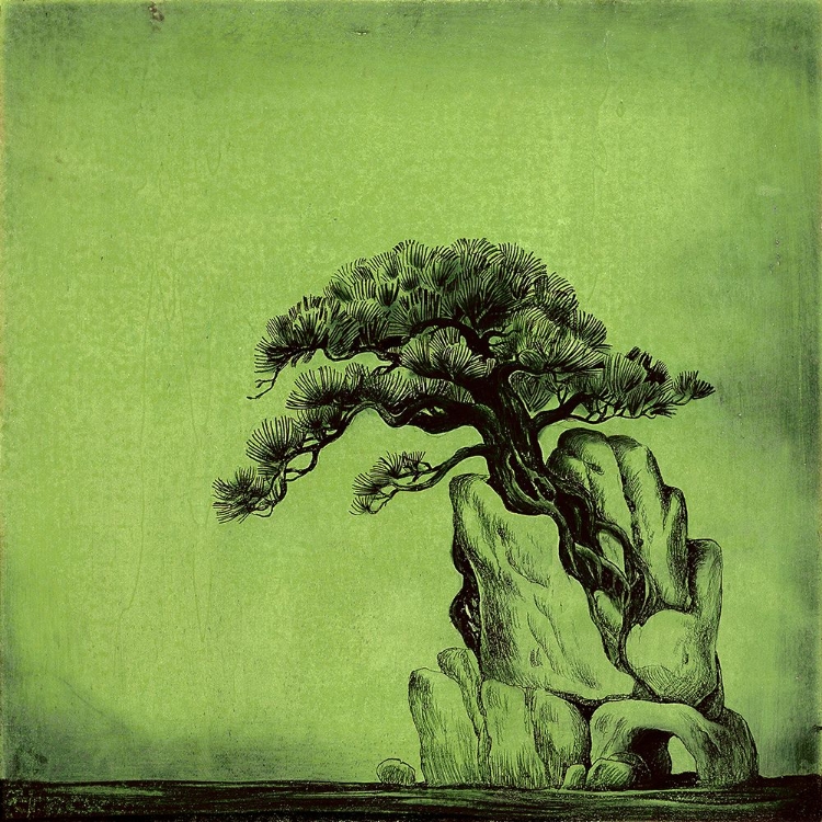 Picture of CLIMBER PINE - GREEN