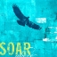 Picture of SOAR ABOVE