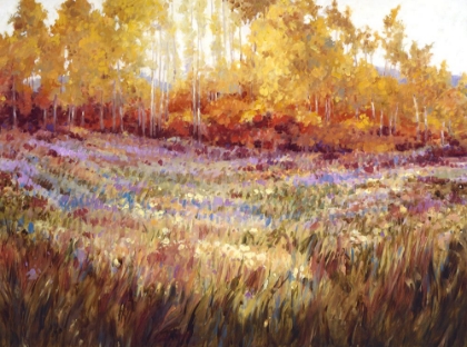 Picture of AUTUMN MEADOW