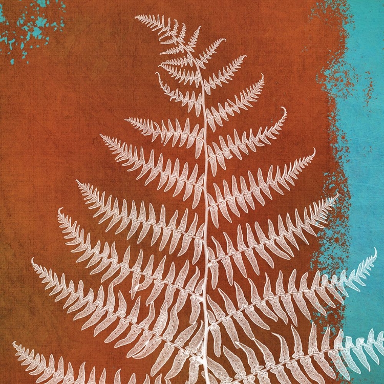 Picture of FERN ABSTRACT STUDY II