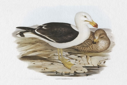 Picture of SEABIRD PAIRING I