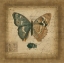 Picture of POSTSCRIPT BUTTERFLY I