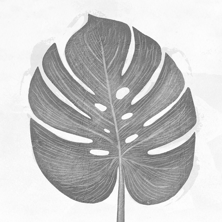 Picture of GREY LEAF