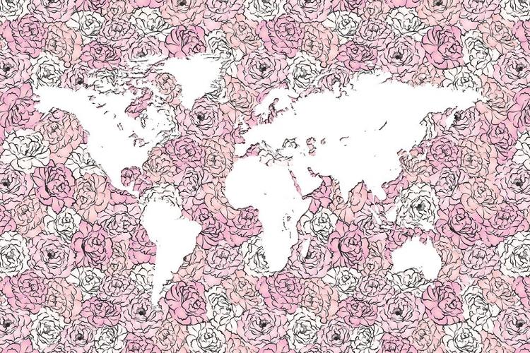 Picture of PINK MAP