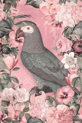 Picture of THE PARROTS PARADISE GARDEN PASTEL PINK