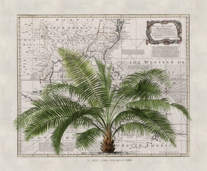 Picture of TROPICAL EMPIRE NO2