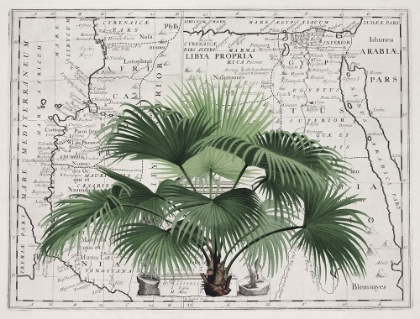 Picture of TROPICAL EMPIRE NO3