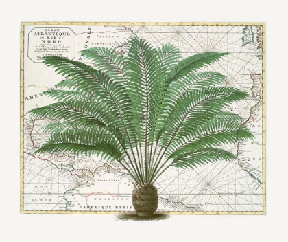 Picture of TROPICAL EMPIRE NO5