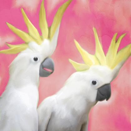 Picture of TWO COCKATOO 1