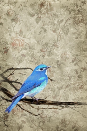 Picture of BLUE BIRD