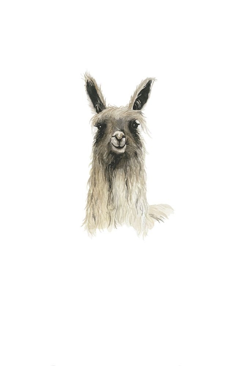 Picture of LLAMA 2