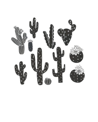 Picture of DESERT PLANTS