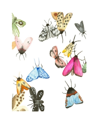Picture of WATERCOLOR MOTHS 1