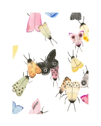 Picture of WATERCOLOR MOTHS 2