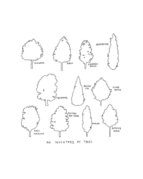 Picture of INVENTORY OF TREES