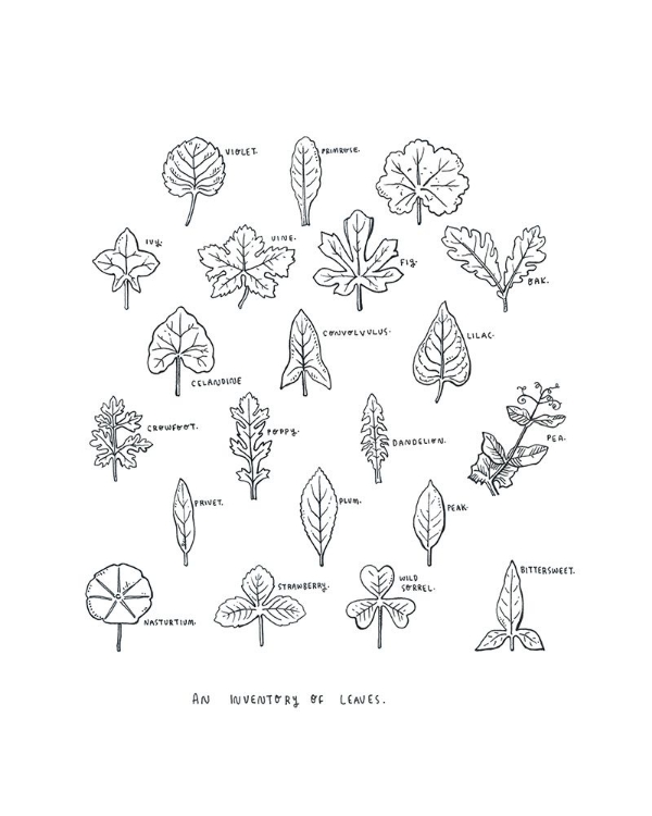 Picture of INVENTORY OF LEAVES