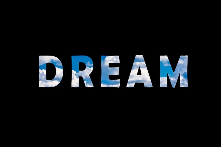 Picture of DREAM 2