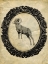 Picture of FRAMED BIGHORN SHEEP