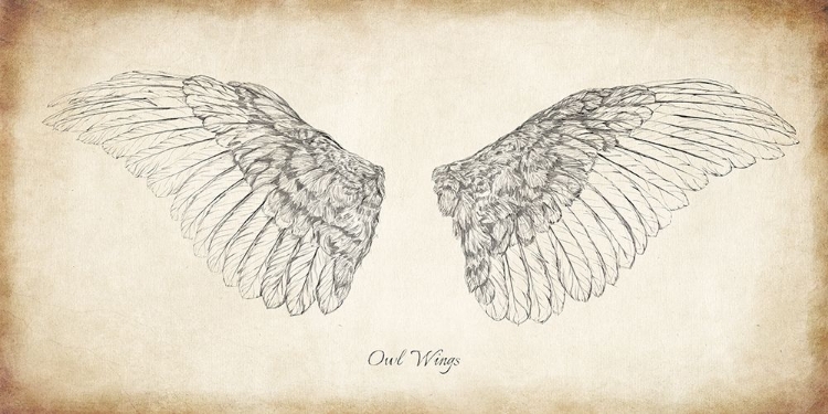 Picture of OWL WINGS