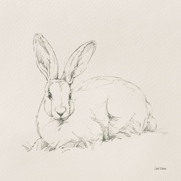 Picture of GRACEFUL RABBIT II