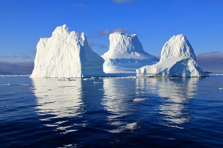 Picture of ICEBERG TRIO