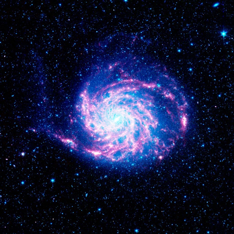 Picture of THE PINWHEEL GALAXY