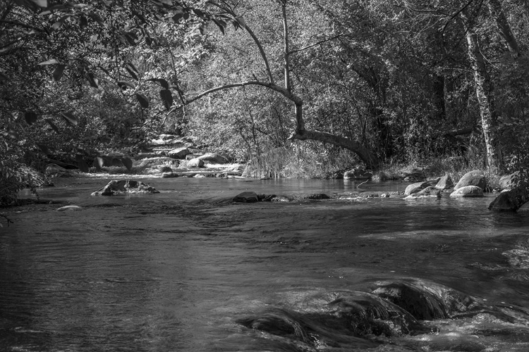 Picture of FOSSIL CREEK BRIDGE