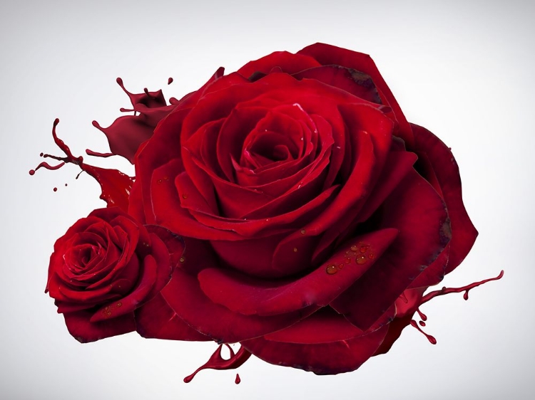 Picture of LIQUID RED ROSE