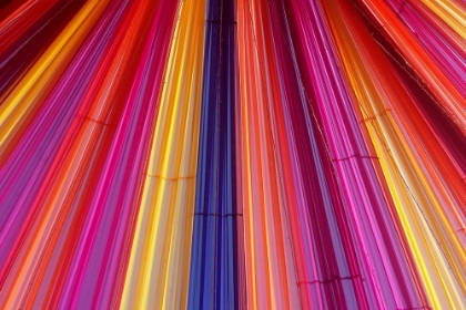 Picture of NEON LINES