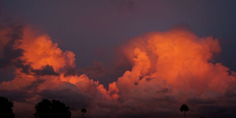 Picture of RED SKY AT NIGHT