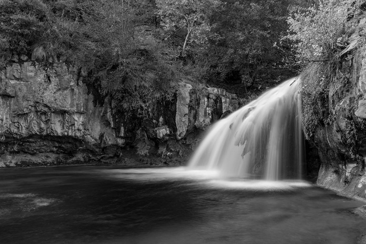 Picture of WATERFALL TRAIL