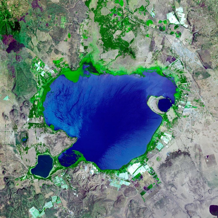 Picture of LAKE NAIVASHA - NAIROBI VIEWED FROM SPACE