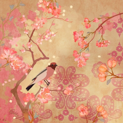 Picture of PLUM BLOSSOMS