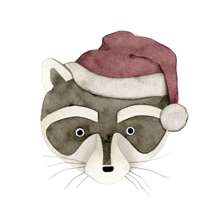 Picture of RACCOON SANTA