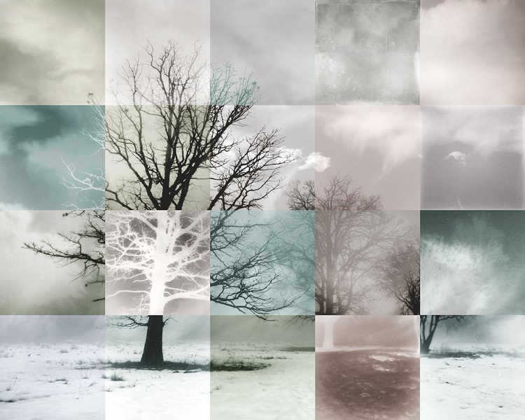 Picture of ANALOG TREES