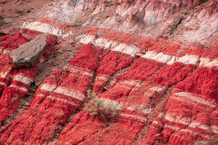 Picture of AUGUST STUDIOS 7364 - PALO DURO CANYON, TX