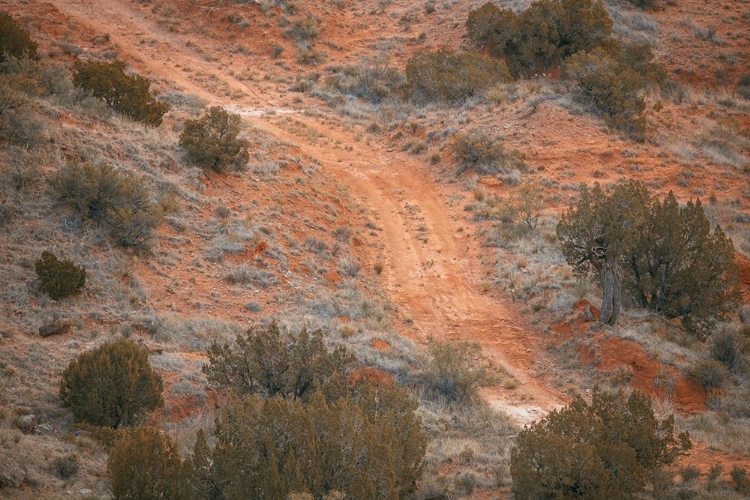 Picture of AUGUST STUDIOS 7371- PALO DURO CANYON, TX