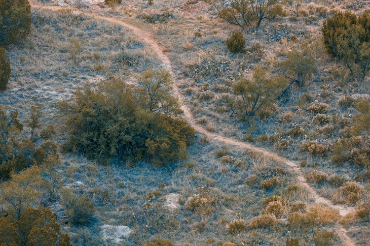 Picture of AUGUST STUDIOS 7378- PALO DURO CANYON, TX