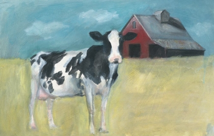Picture of COW IN FIELD