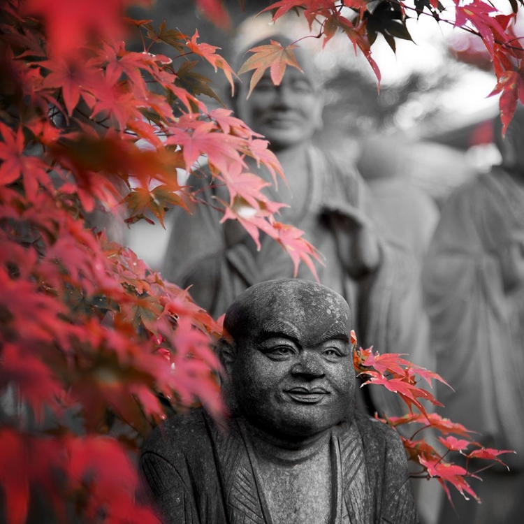 Picture of BUDDHA STATUES