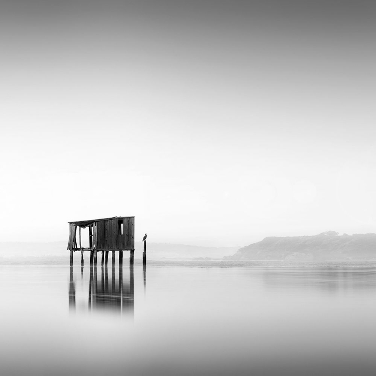 Picture of CABIN AND ESTUARY