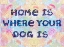 Picture of HOME IS WHERE YOUR DOG IS